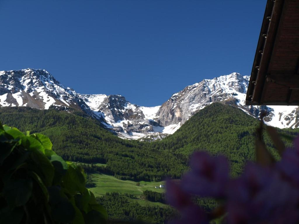 Feldgaertenhof Silandro Exterior foto